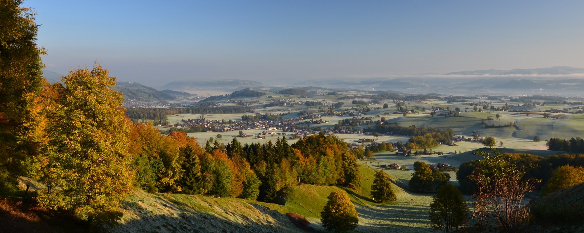 Headerbild