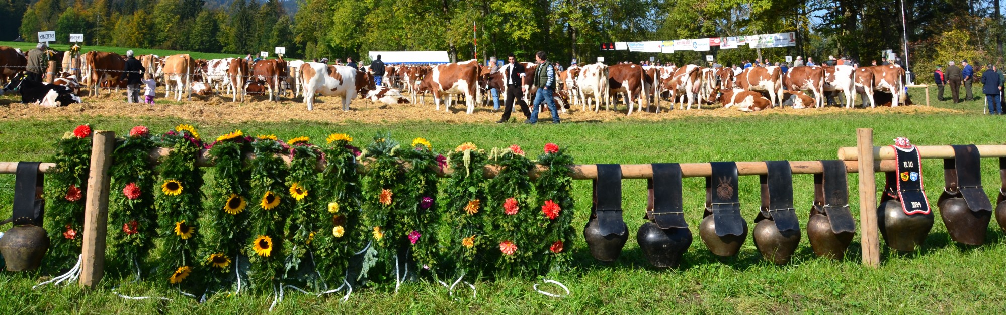 Headerbild