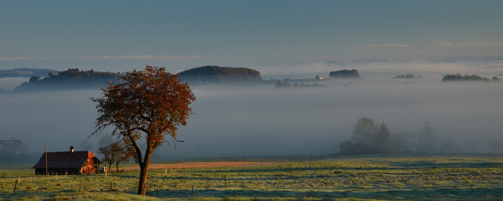 Headerbild