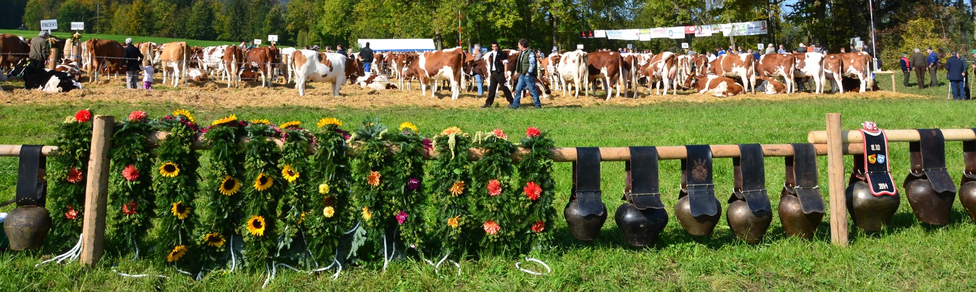 Headerbild