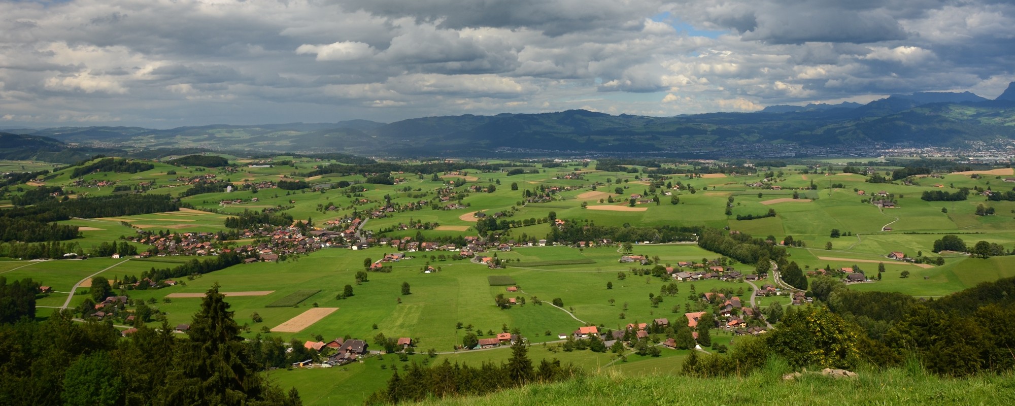 Headerbild