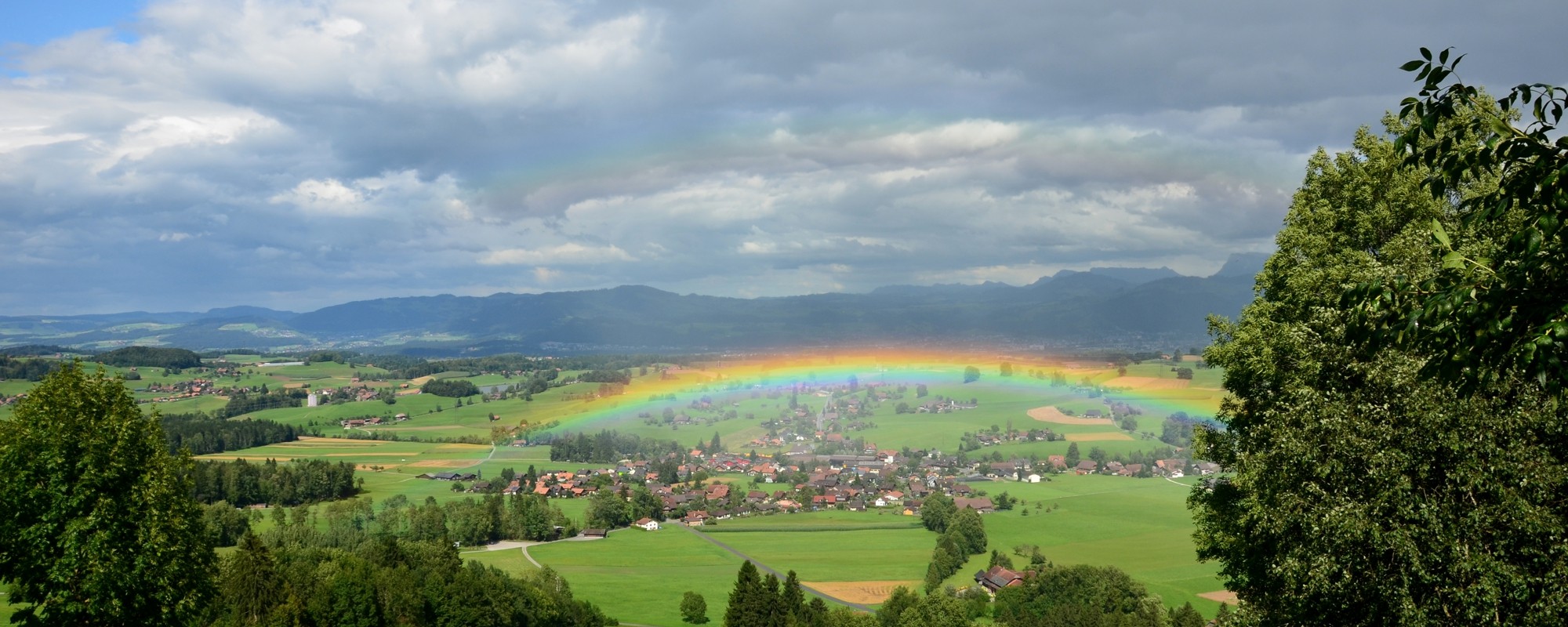 Headerbild