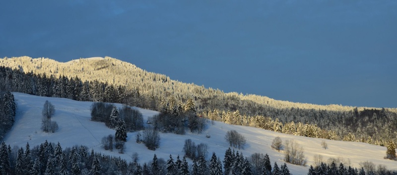 Winter