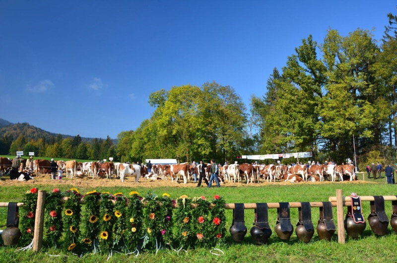 Sommer